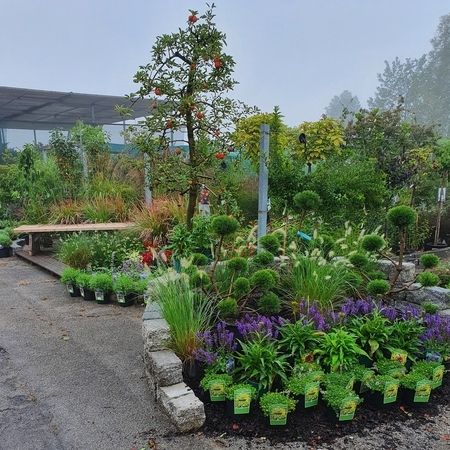 Baumschule - Referenzen