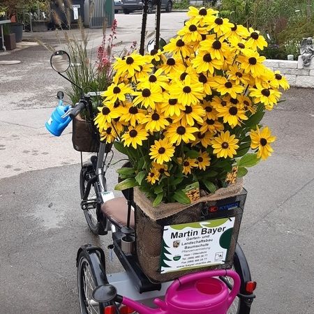 Baumschule - Referenzen