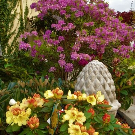 Baumschule - Referenzen