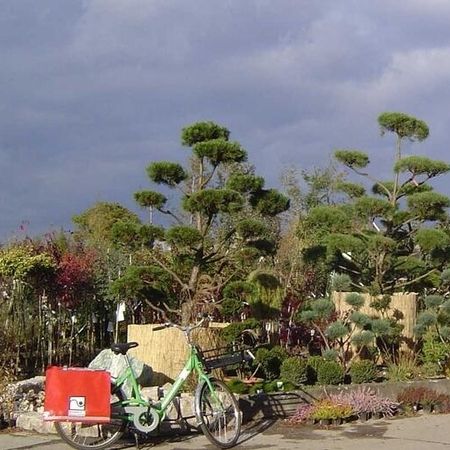 Baumschule - Referenzen