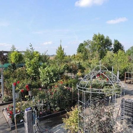 Baumschule - Referenzen