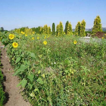 Baumschule - Referenzen