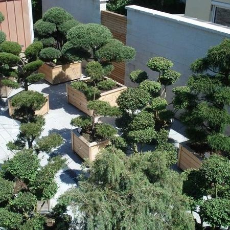 Baumschule - Referenzen