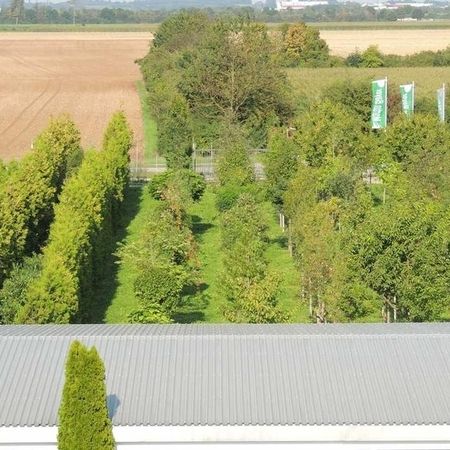 Baumschule - Referenzen