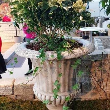 Baumschule - Referenzen