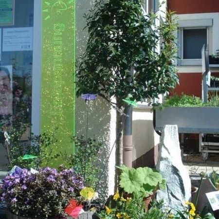 Baumschule - Referenzen