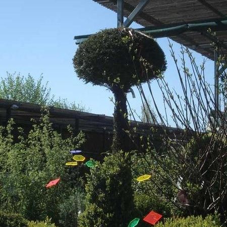 Baumschule - Referenzen