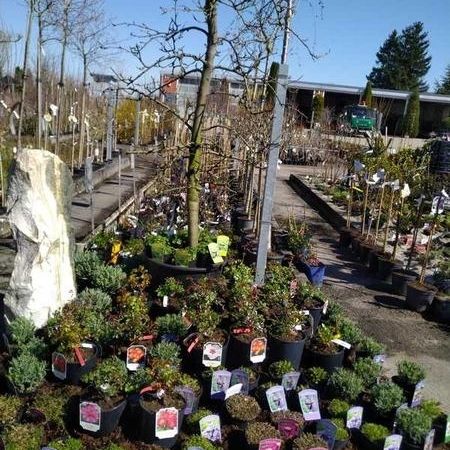 Baumschule - Referenzen