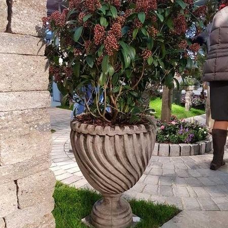 Baumschule - Referenzen