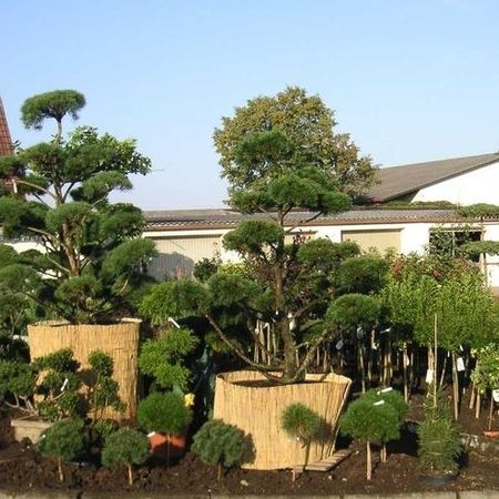 Baumschule - Referenzen