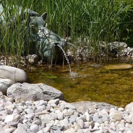 Teiche und Wassergärten