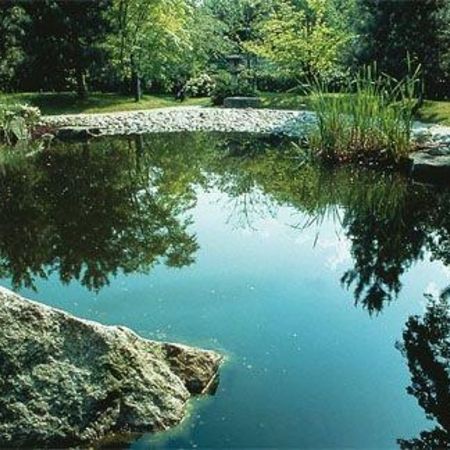 Teiche und Wassergärten