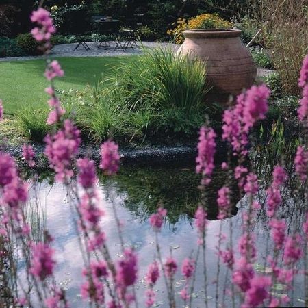 Teiche und Wassergärten