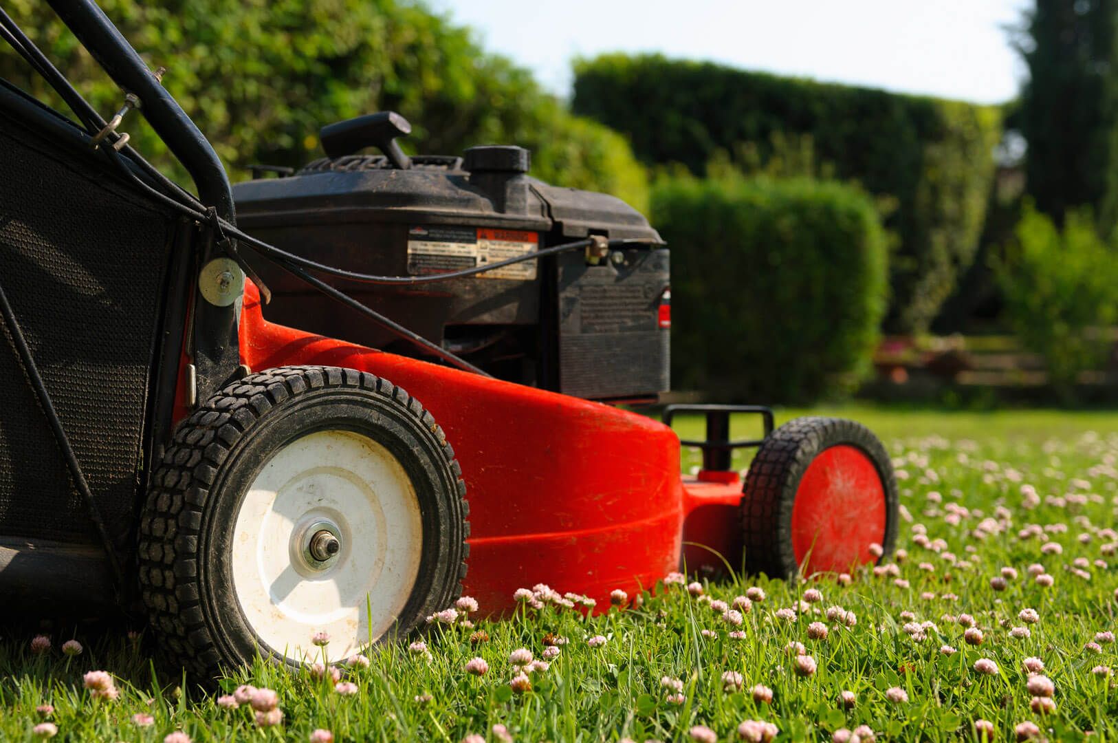 Gartenpflege in HaarOttendichl und Umgebung Rasenmähen und Heckenschnitt